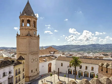 Buteyko Certificate Training Malaga – Live In Person with Patrick McKeown 