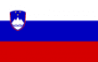 slovenia flag img